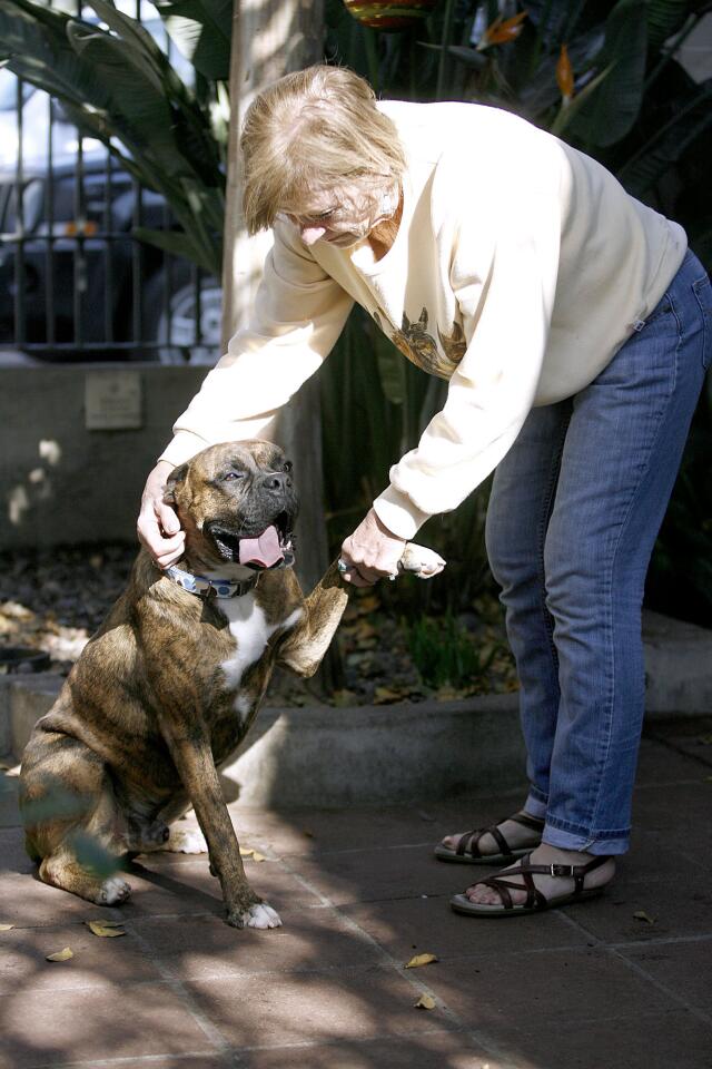 Photo Gallery: Pet adoptions at Pasadena Humane Society