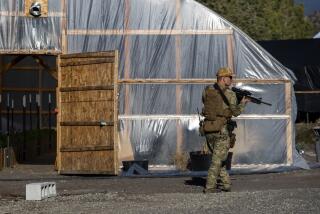 MT. SHASTA VISTA, CA - October 13 2021: Siskiyou County marijuana task force clears greenhouses as the serves a search warrant at an illicit grow on Wednesday, Oct. 13, 2021 in Mt. Shasta Vista, CA. (Brian van der Brug / Los Angeles Times via Getty Images)