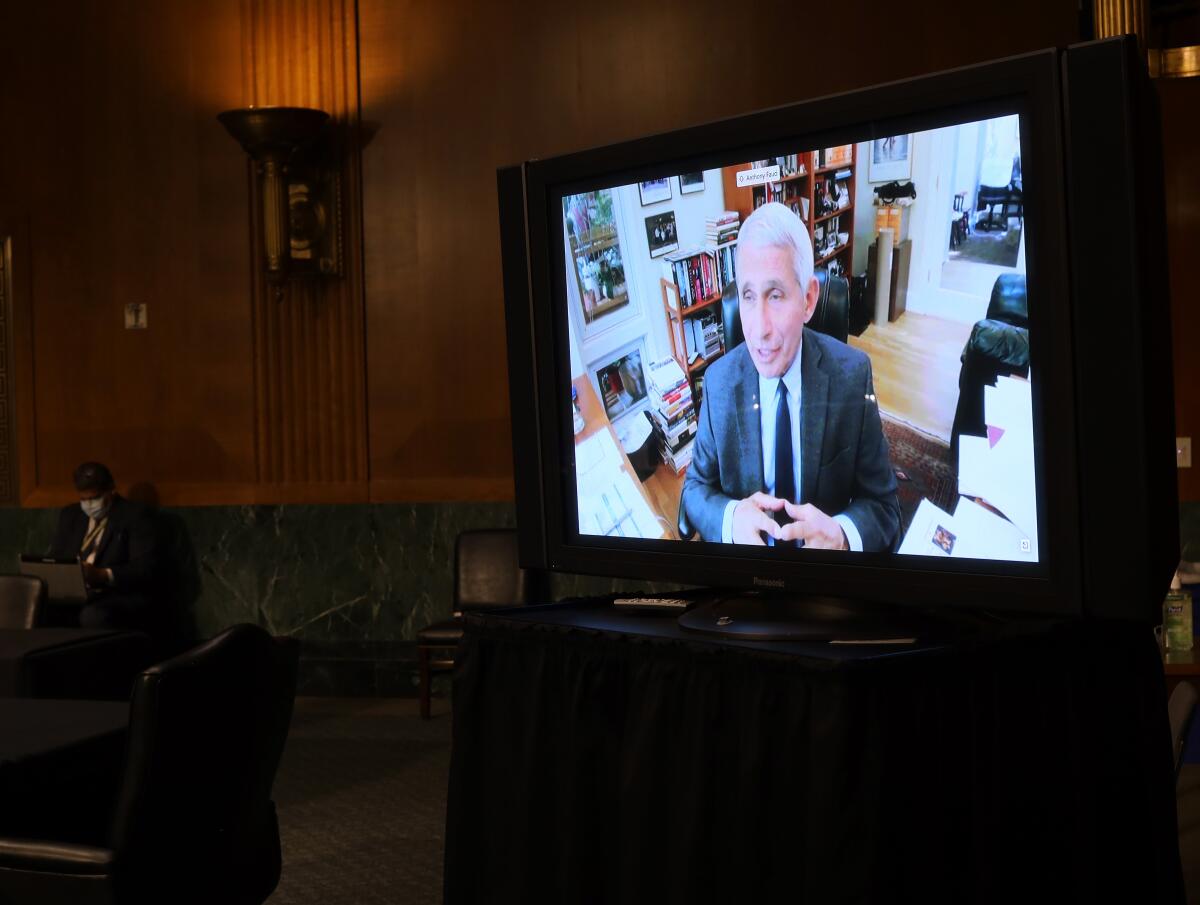 Dr. Anthony Fauci, director of the National Institute of Allergy and Infectious Diseases, testifies remotely before the Senate health committee on Tuesday.