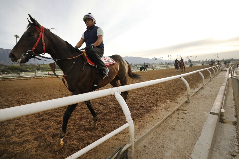 Riders, jockeys and horses train at Santa Anita Park on March 11.