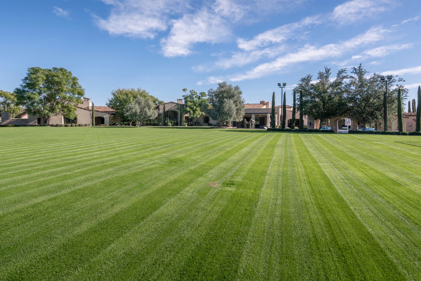 The expansive lawn