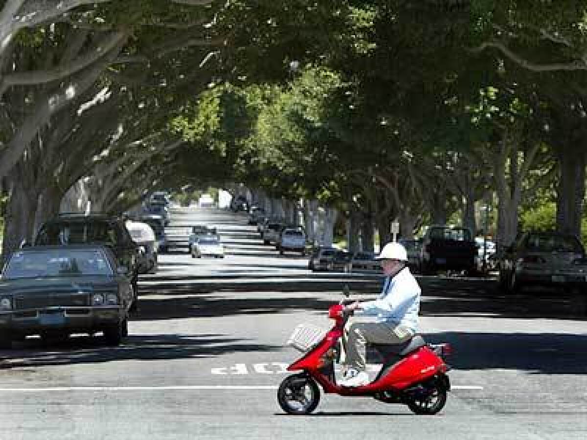 The area is small but with a lot to offer, most of it a short scooter ride away. Tree-lined Hill Street is one of the more upscale in the neighborhood, with many remodeled homes.