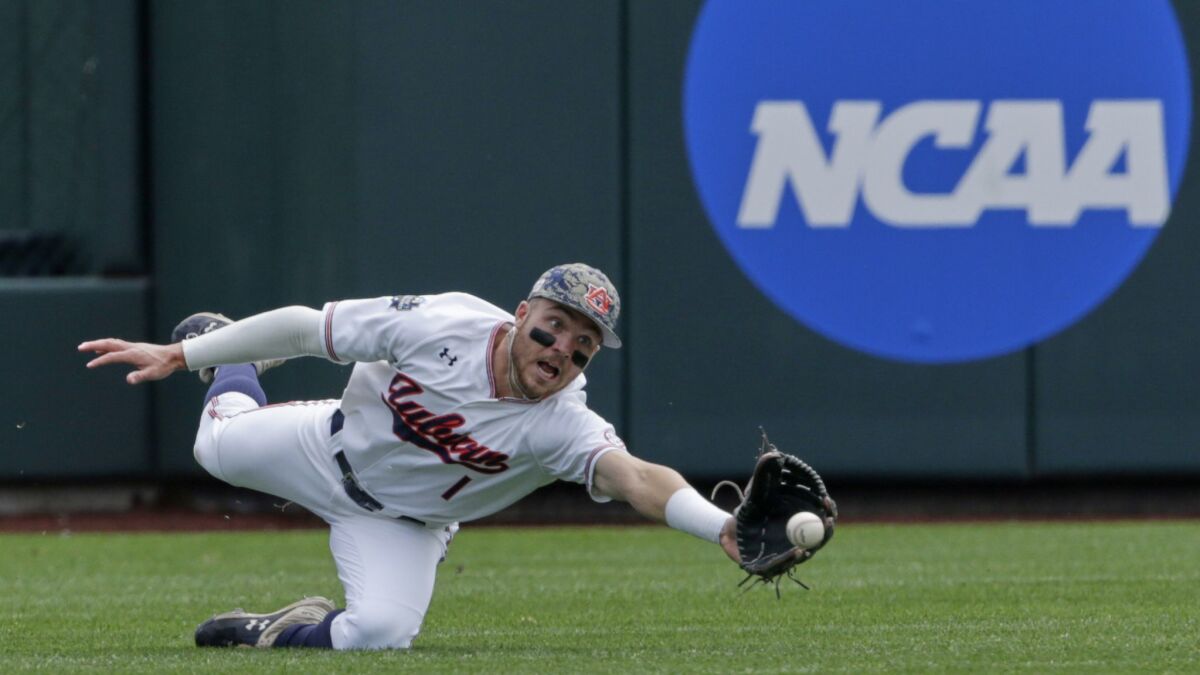 Auburn left fielder Judd Ward dives for a fly ball during an NCAA College World Series baseball game June 19 in Omaha.