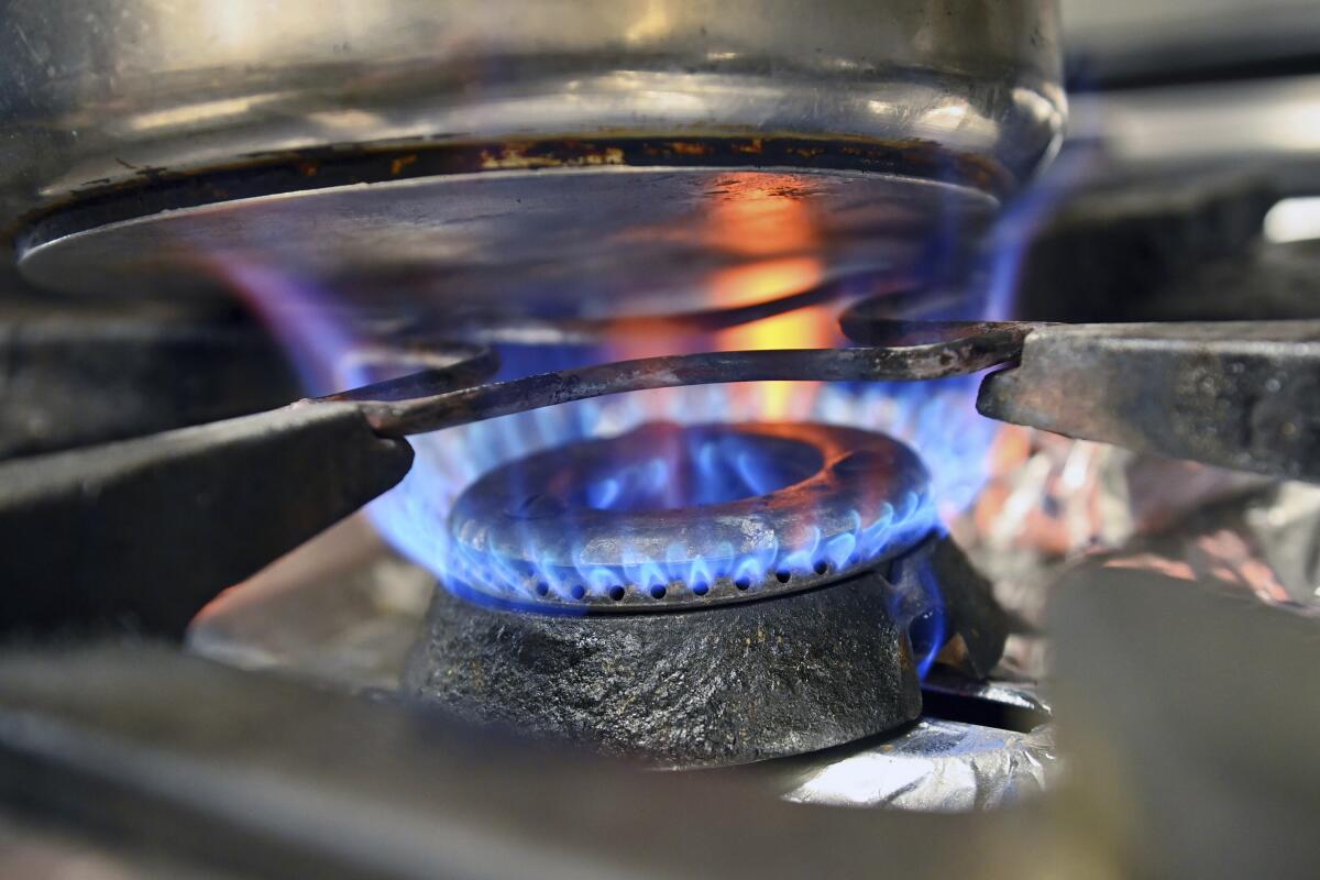 Close-up of a blue flame on a gas stove.