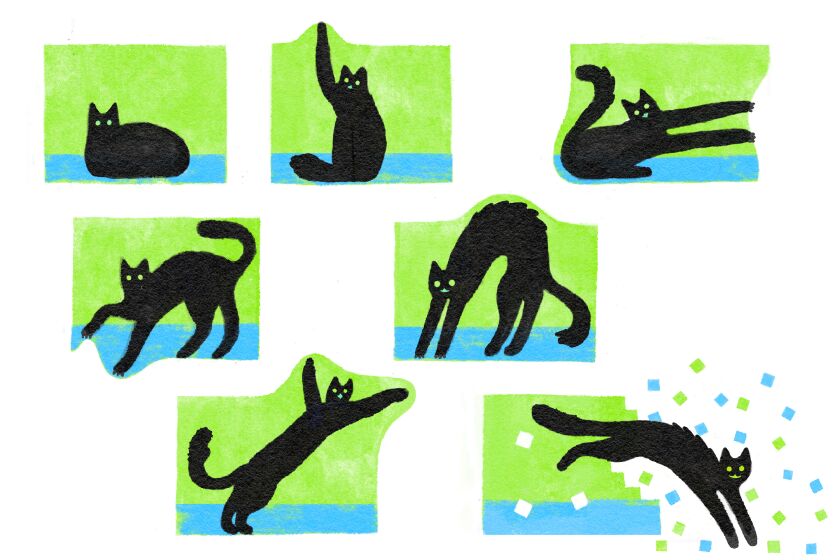 sequence of illustrations of a cat breaking out of a computer screen
