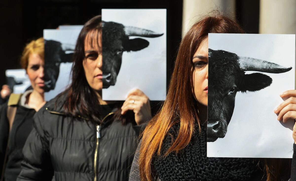 Members of the international animal rights group AnimaNaturalis protest against bullfighting in Valencia, Spain.