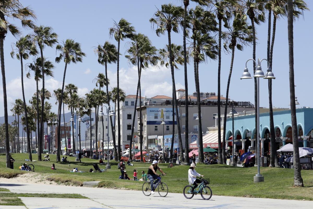 Bikes and palm trees in front of the Venice boardwalk