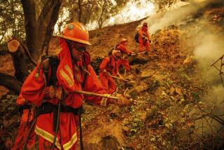 An inmate firefighters sprays water as the Thompson Fire burns, Tuesday, July 2, 2024, in Oroville, Calif. (AP Photo/Ethan Swope)