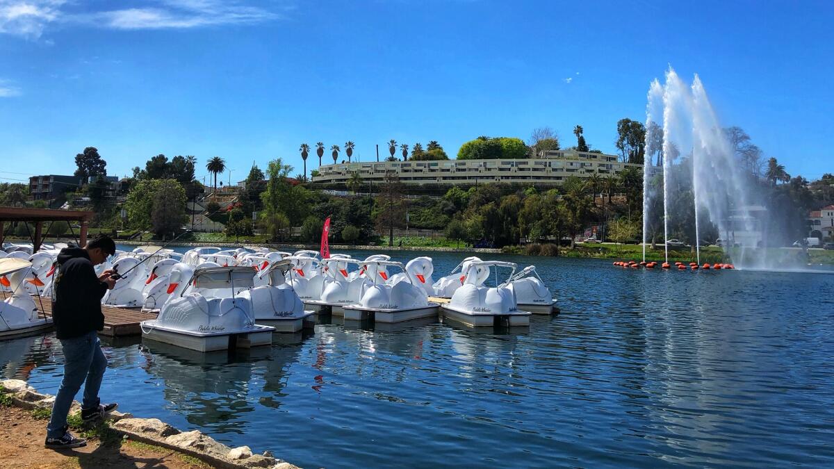 A fisherman casts his line near the idle paddleboats of Echo Park Lake.