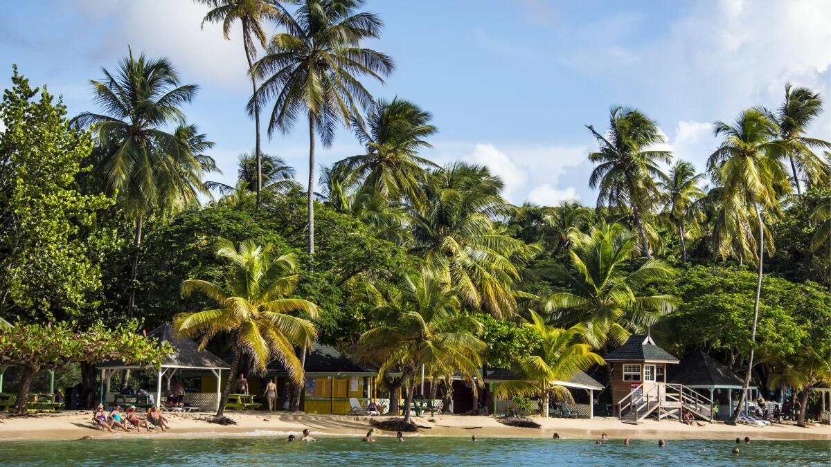 Tourists on the famous white sandy beach Pigeon Point in Trinidad and Tobago. Fares on American and United are less than $350.