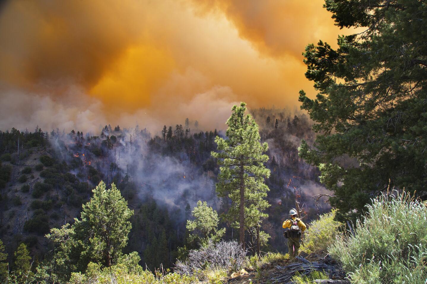 Lake fire in the San Bernardino National Forest