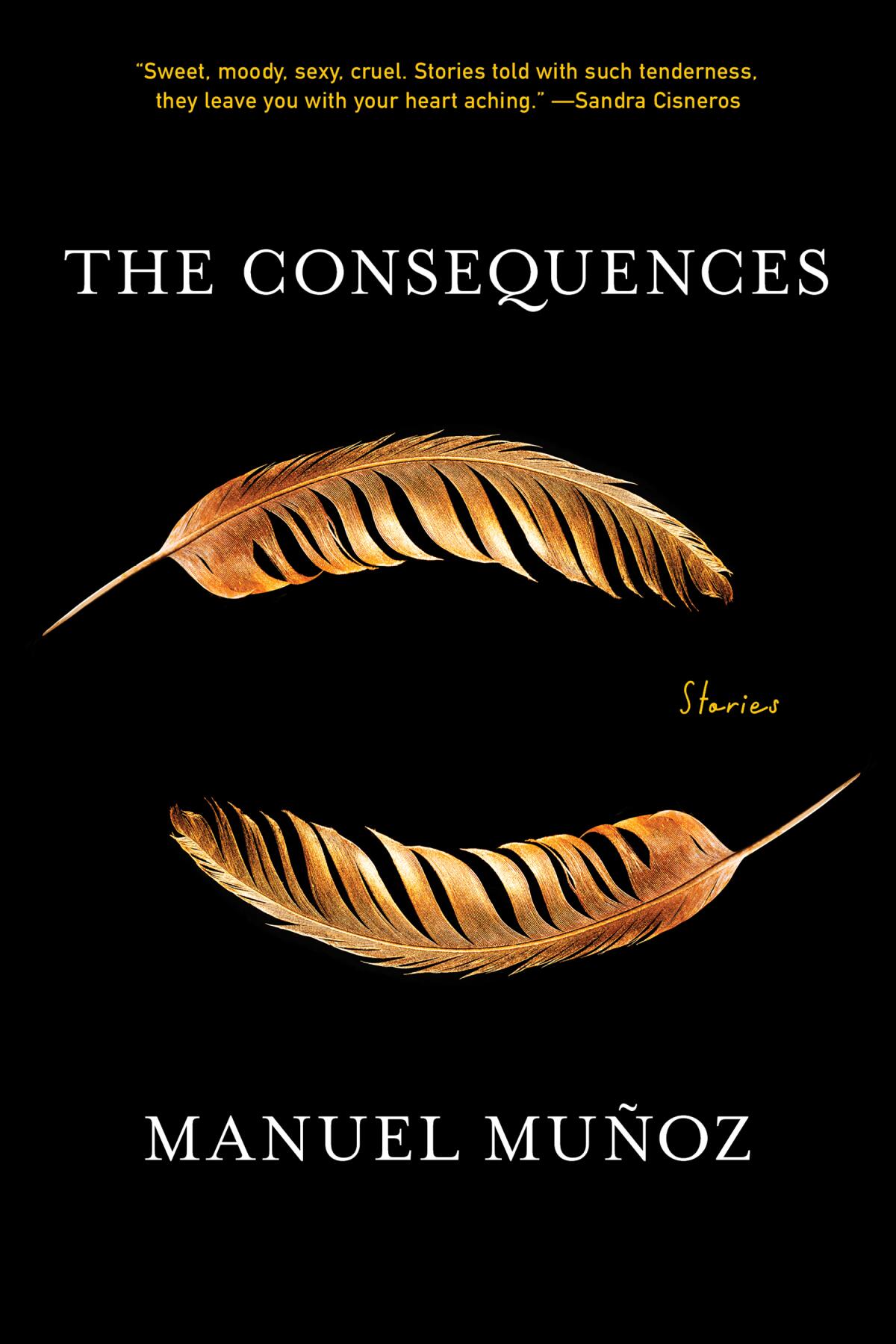 A book cover shows two golden feathers floating one above the other on a solid black background.