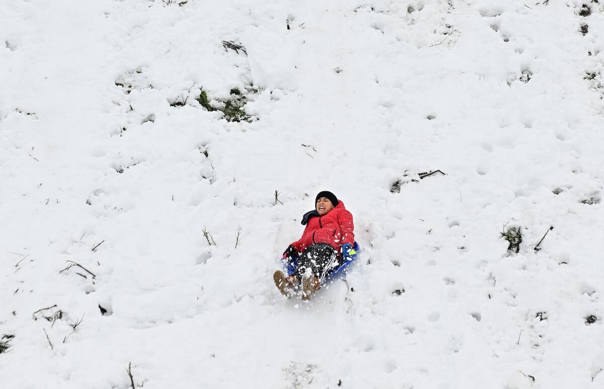 A lone person sleds down a snowy hill