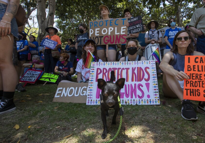 A dog sitting on the grass in front of a large group of people holding signs that include "Protect children, not weapons!"