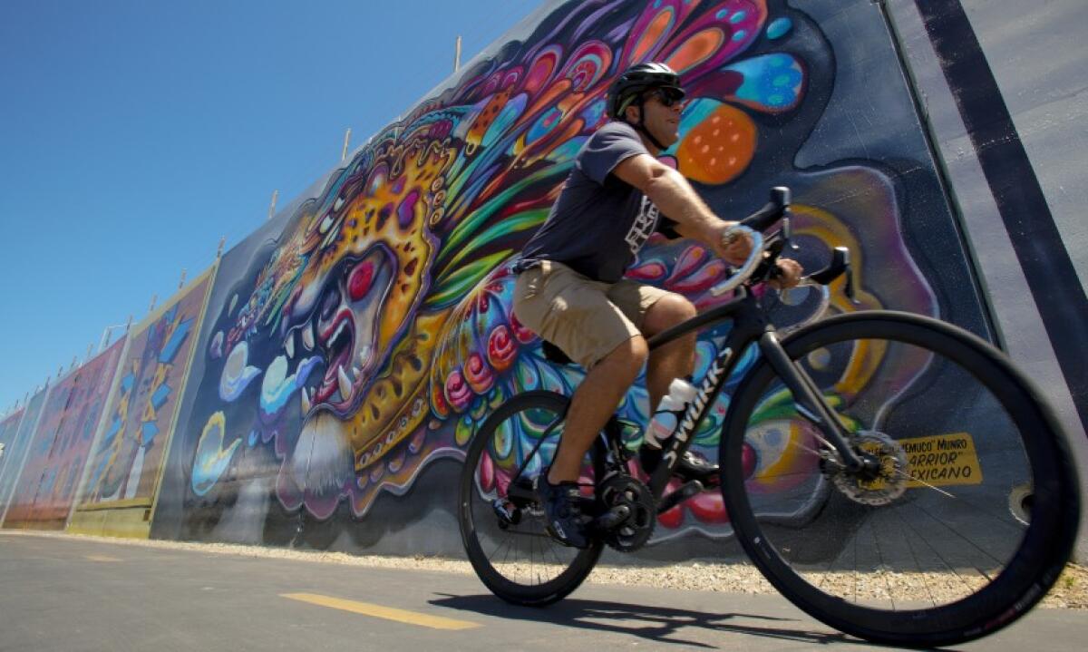 Andy Hanshaw, executive director San Diego Bicycle Coalition, rides past a large mural along the Bayshore Bikeway in Chula Vista. The large mural by Guillermo “Memuco” Munro is one of eleven large wall murals painted by various artist along the bike route.