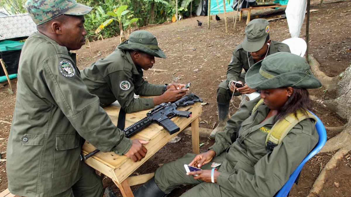 A member from Revolutionary Armed Forces of Colombia (FARC) rests in a transitory camp in Tumaco town, Narino, Colombia.