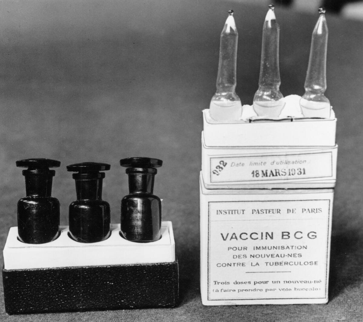 Old vaccine against tuberculosis