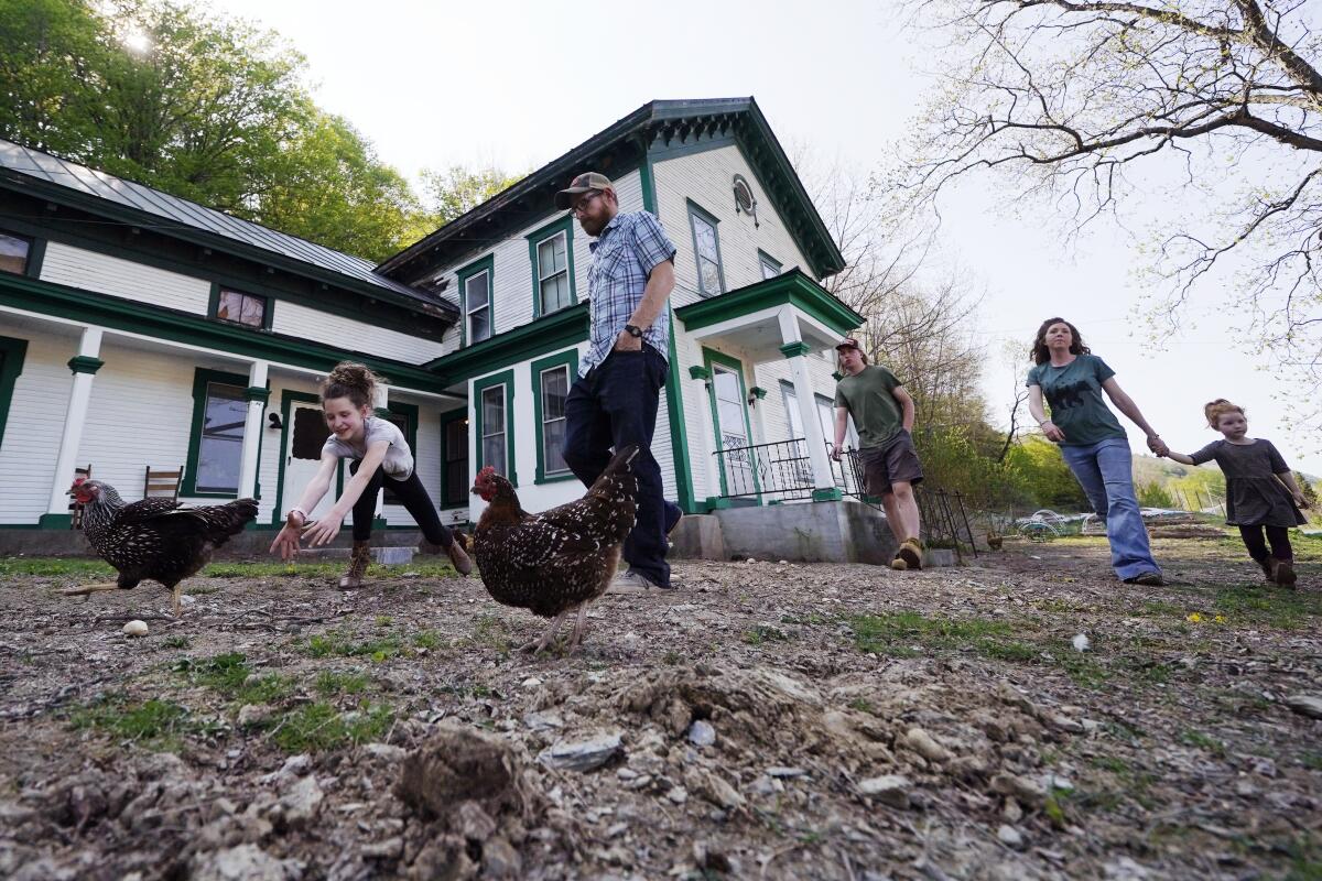 Soraya Holden chases a chicken while walking with her family past their family home