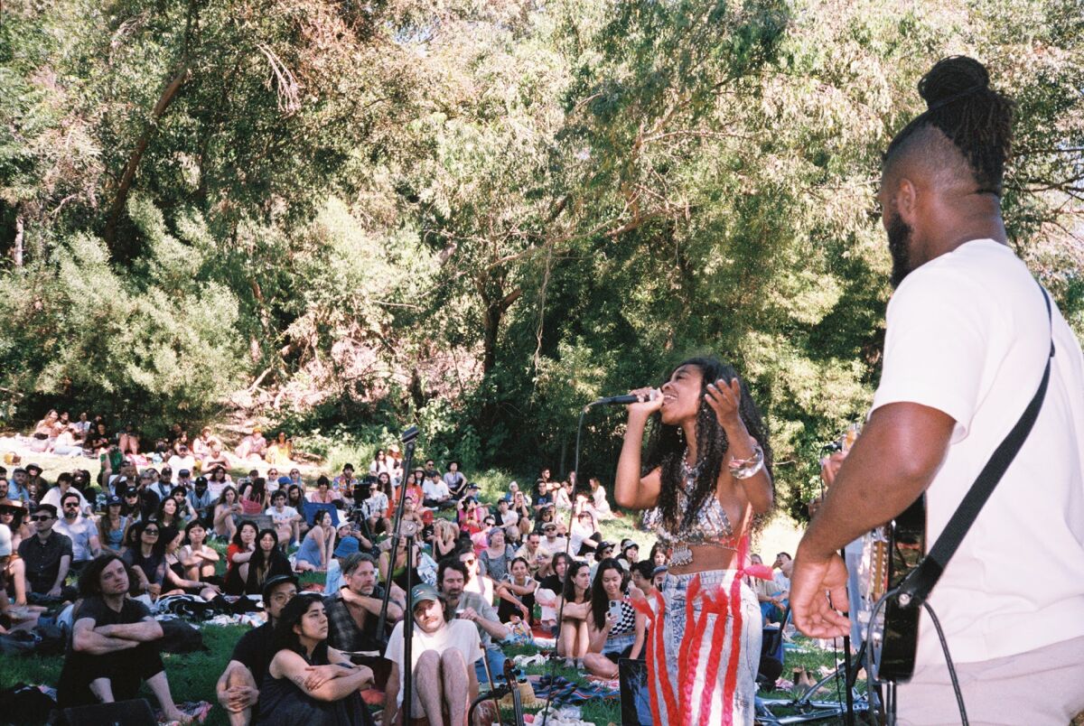 A guitarist and a singer perform to a crowd sitting on a lawn