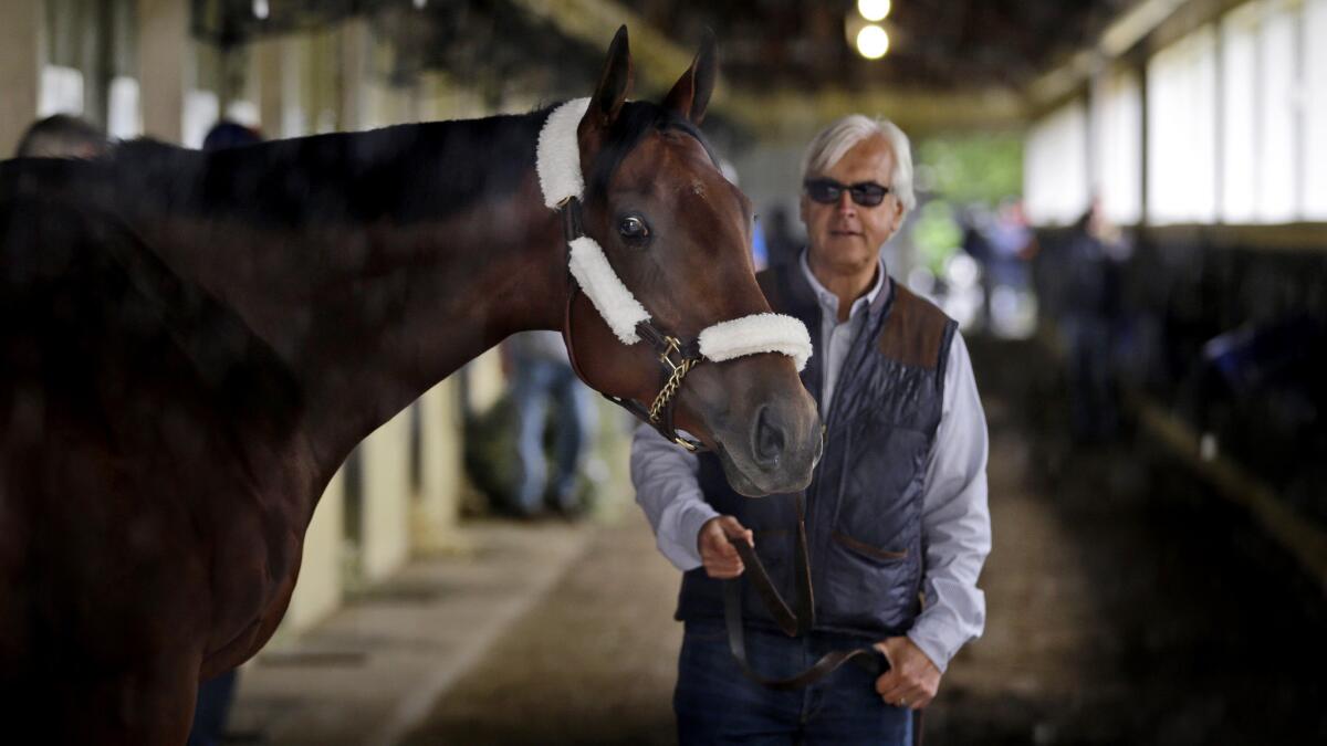 Trainer Bob Baffert with American Pharoah at Belmont Park before the Belmont Stakes.