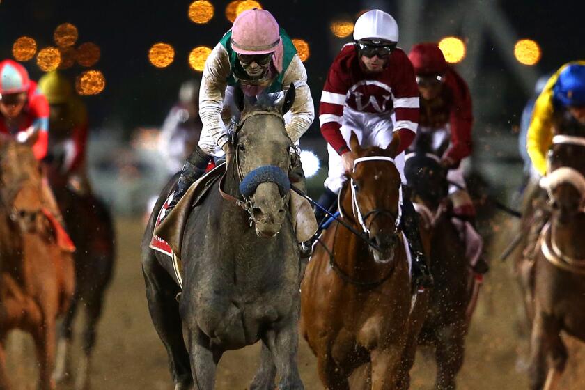 DUBAI, UNITED ARAB EMIRATES - MARCH 25: Mike Smith riding Arrogate wins the Dubai World Cup Sponsored By Emirates Airline during the Dubai World Cup at the Meydan Racecourse on March 25, 2017 in Dubai, United Arab Emirates. (Photo by Francois Nel/Getty Images) ** OUTS - ELSENT, FPG, CM - OUTS * NM, PH, VA if sourced by CT, LA or MoD **