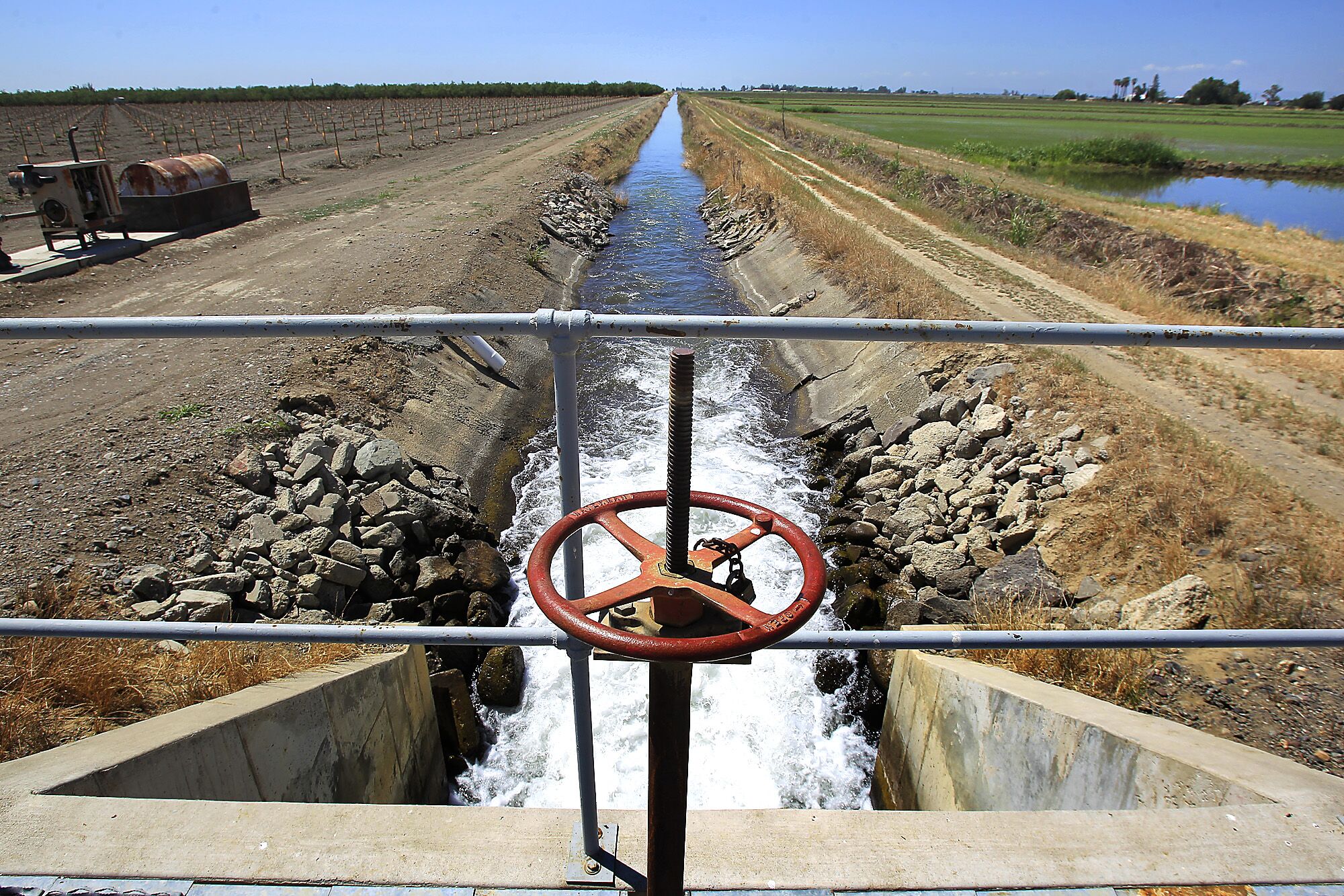 L'eau coule le long d'un canal au milieu de champs en pleine croissance.