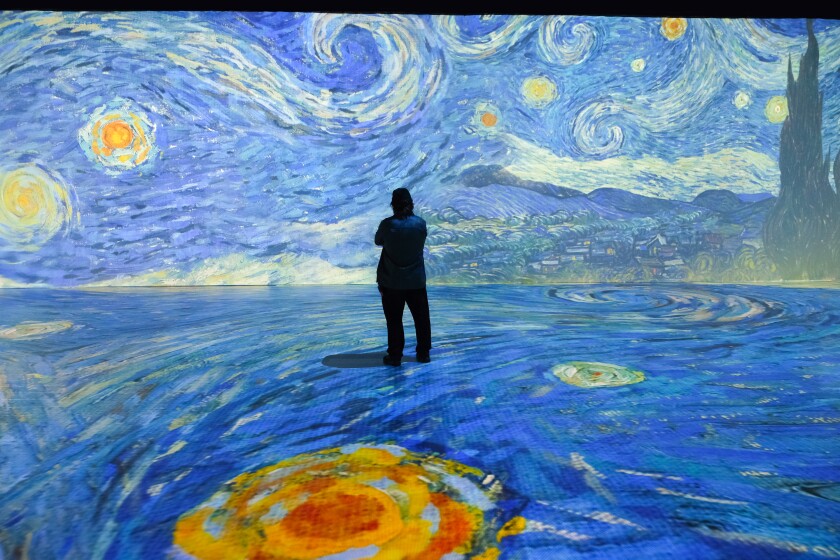 A person takes in the Beyond Van Gogh exhibition in Miami.