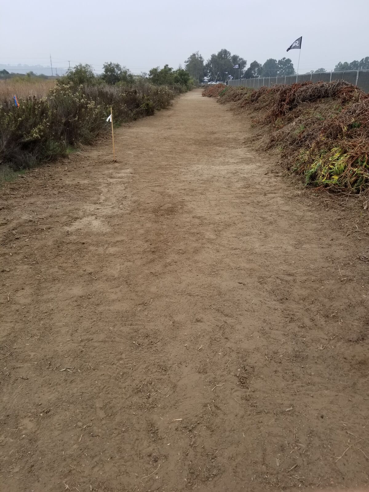 The widened and revitalized trail.