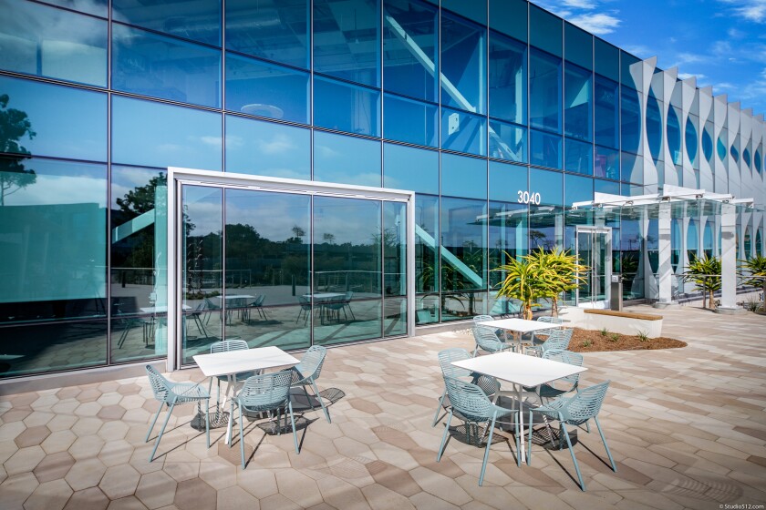 Fringuello d'oro in Muse a Torrey Pines