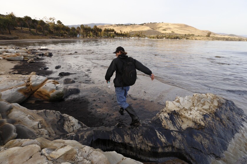 Longtime Santa Barbara resident Morgan Miller walks the oil-coated shore at Refugio State Beach looking for wildlife to rescue on May 19.