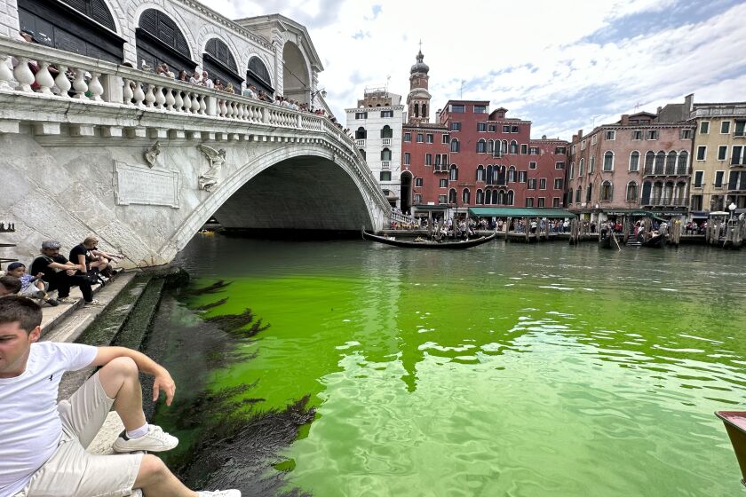 A bright patch of green is seen in the Grand Canal along an embankment lined with restaurants, in Venice, Italy, Sunday, May 28, 2023. Police in Venice are investigating the source of a phosphorescent green liquid patch that appeared Sunday in the city's famed Grand Canal. (AP Photo/Luigi Costantini)