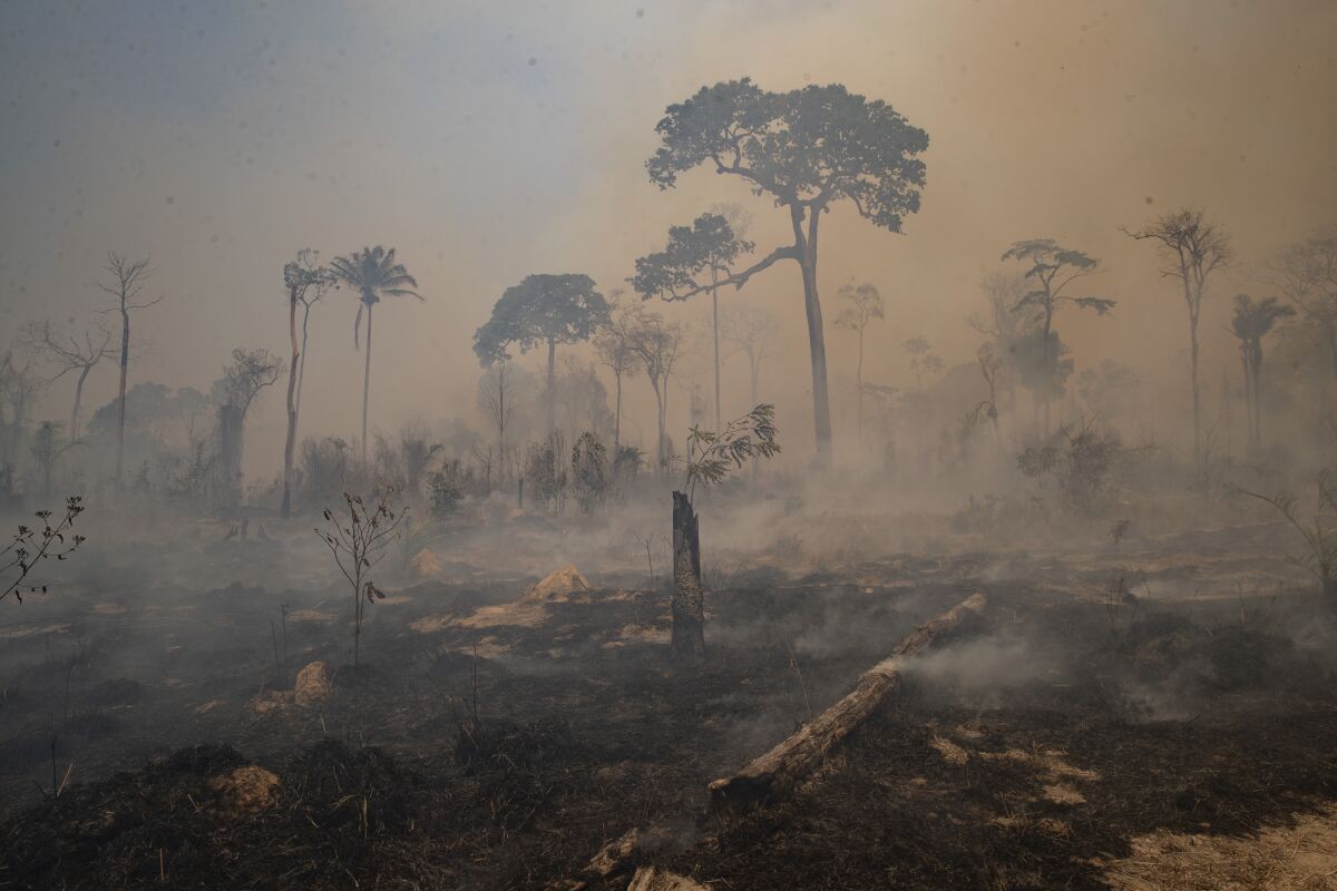 FILE - In this Aug. 23, 2020 file photo, fire consumes land recently deforested by cattle farmers near Novo Progresso, Para state, Brazil. The season of Brazilian forest fires has begun, and early data plus severe drought is sparking concern that nationwide destruction in 2021 will stay at the high levels recorded in the past two years, despite efforts to tamp down the blazes. (AP Photo/Andre Penner, File)