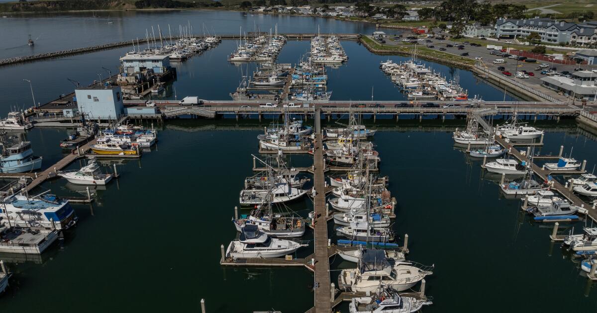 Column: The salmon industry faces extinction — not because of drought ...