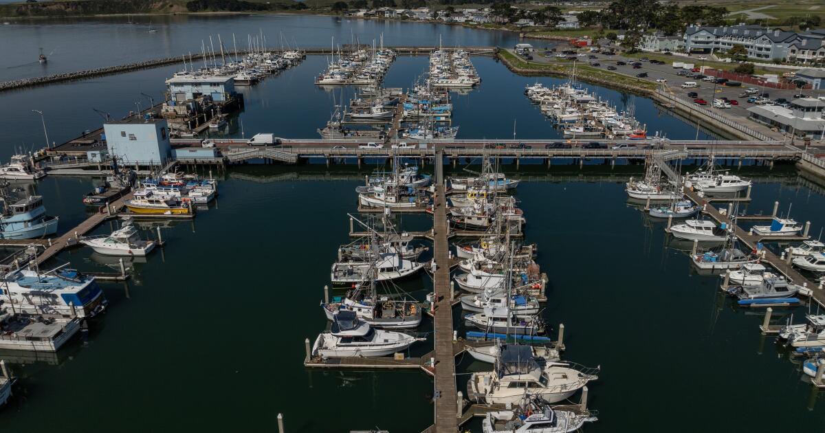 Column: The salmon industry faces extinction — not because of drought, but government policies and politics