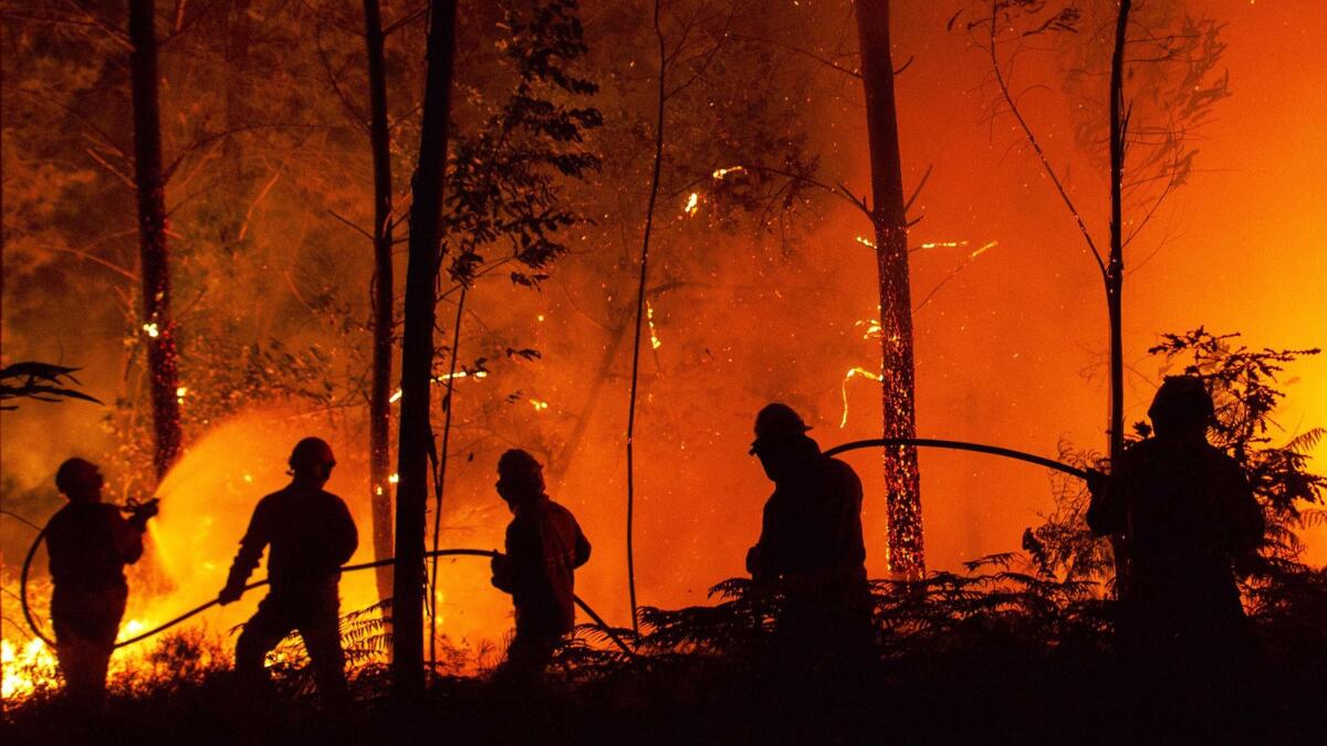 Firefighters try to extinguish a wildfire on June 19, 2017, near Pedrogao Grande, Portugal.