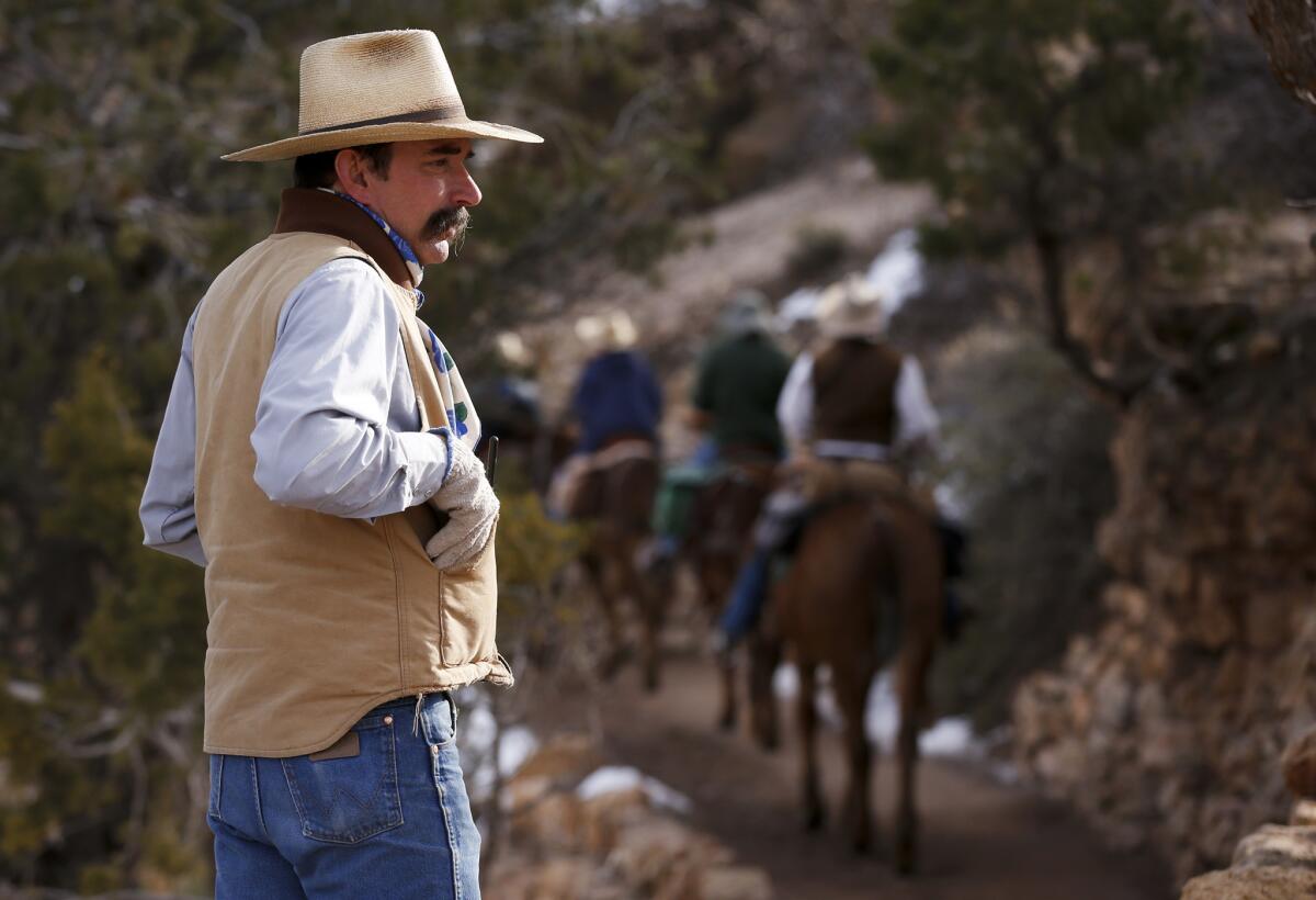 John Berry, the livery manager, watches visitors head out on his mules for a trip along Bright Angel Trail to the canyon bottom.