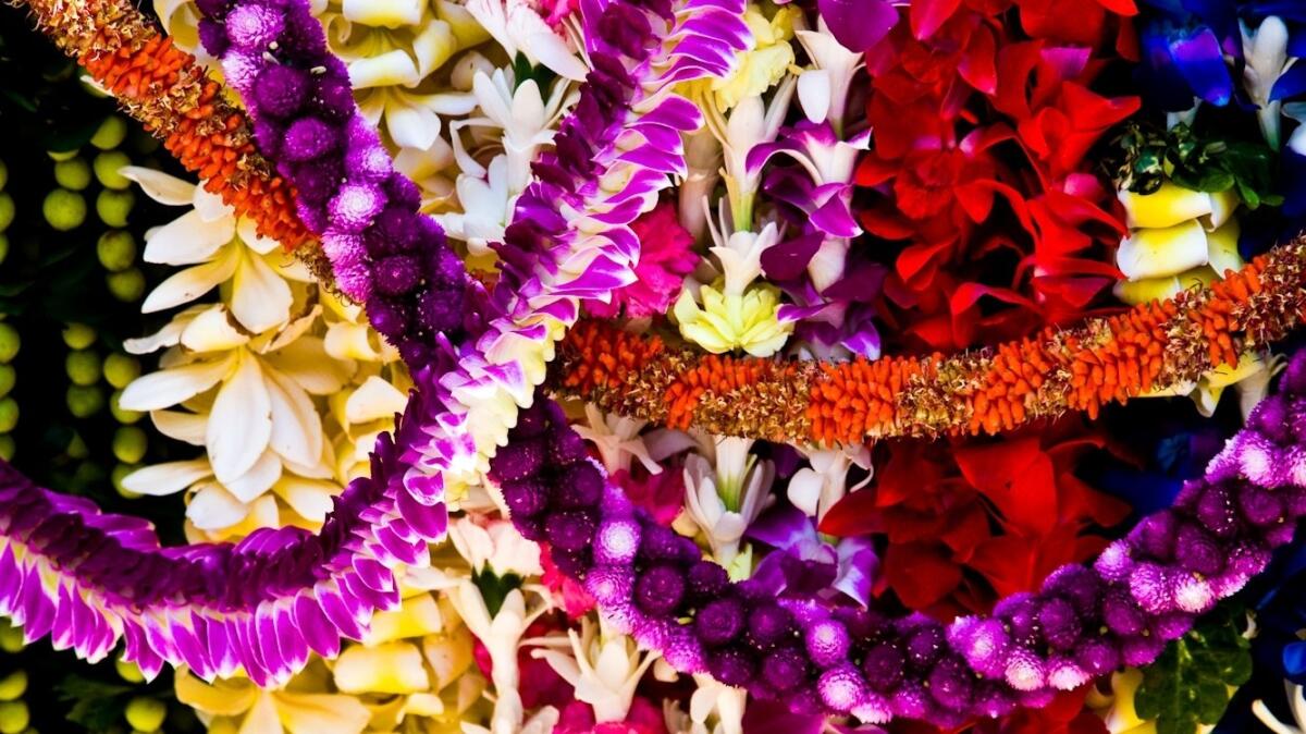 Hawaii will be awash in leis as the state celebrates its famous aloha tradition -- Lei Day -- on May 1.