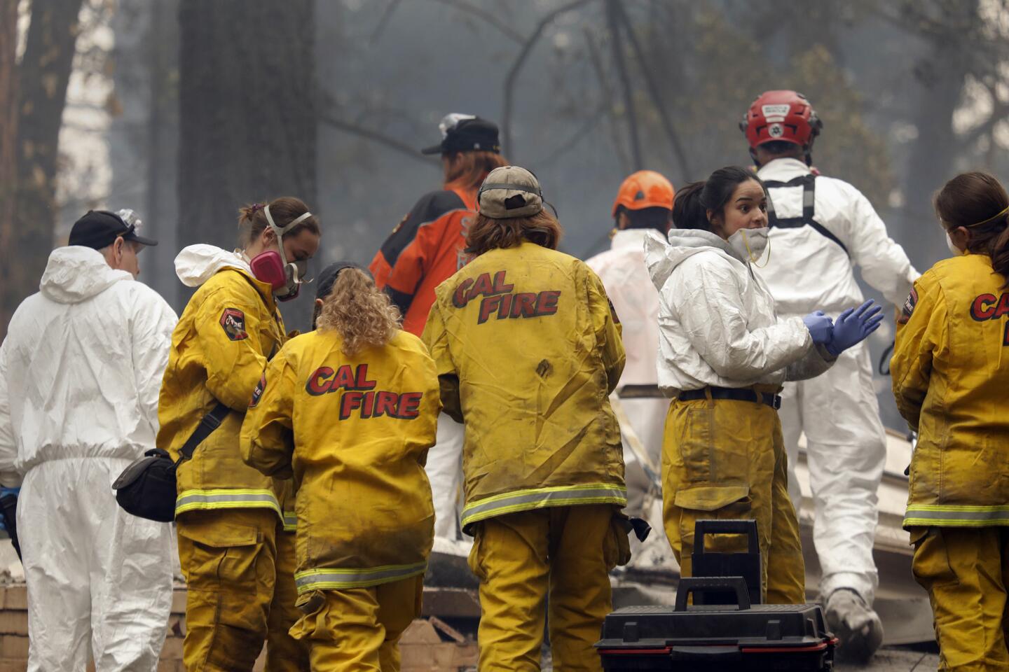 A forensic team investigates the site of a Paradise home where remains were found.