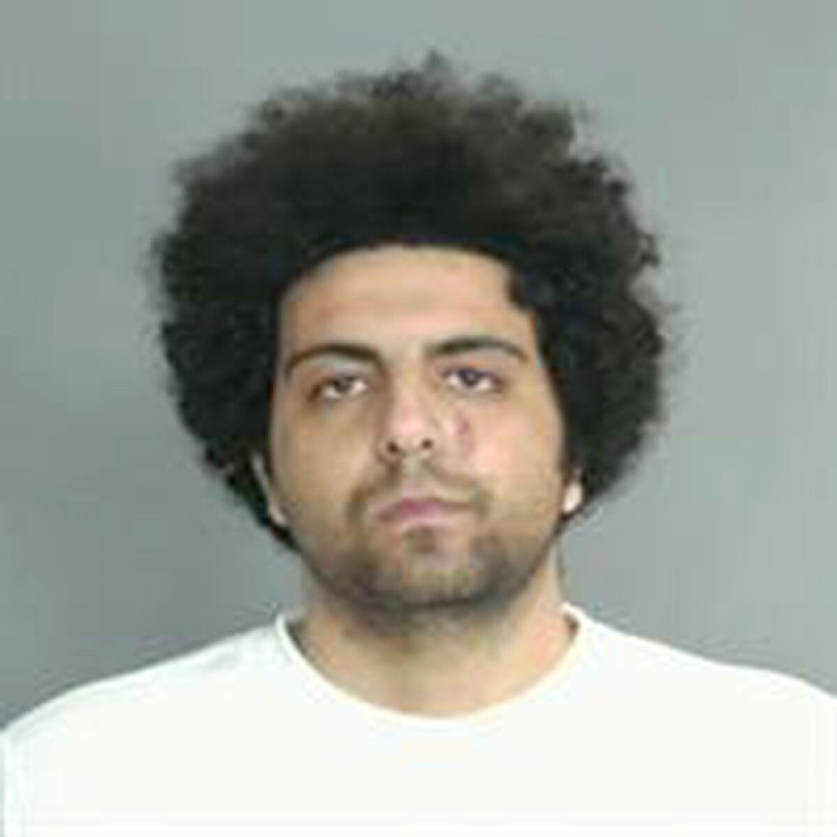 Booking photo of Ramy Fahim.