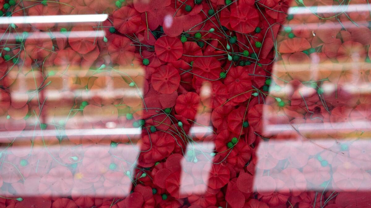 A visitor stands in front of the USAA Poppy Wall of Honor, featuring over 645,000 poppies behind glass, each one representing an American service member who has fallen since World War I, on the National Mall in Washington on May 24, ahead of the Memorial Day weekend.