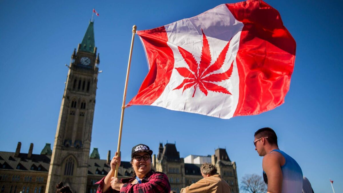 A woman waves a modified Canadian flag bearing a marijuana leaf during observance of National Marijuana Day — April 20 — outside Parliament in Ottawa in 2016.