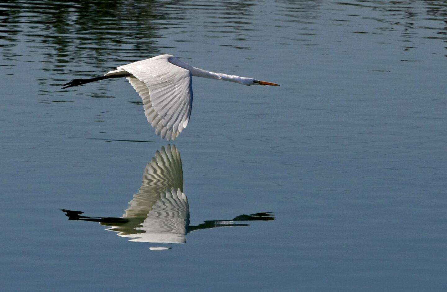 Whittier Narrows Recreation Area