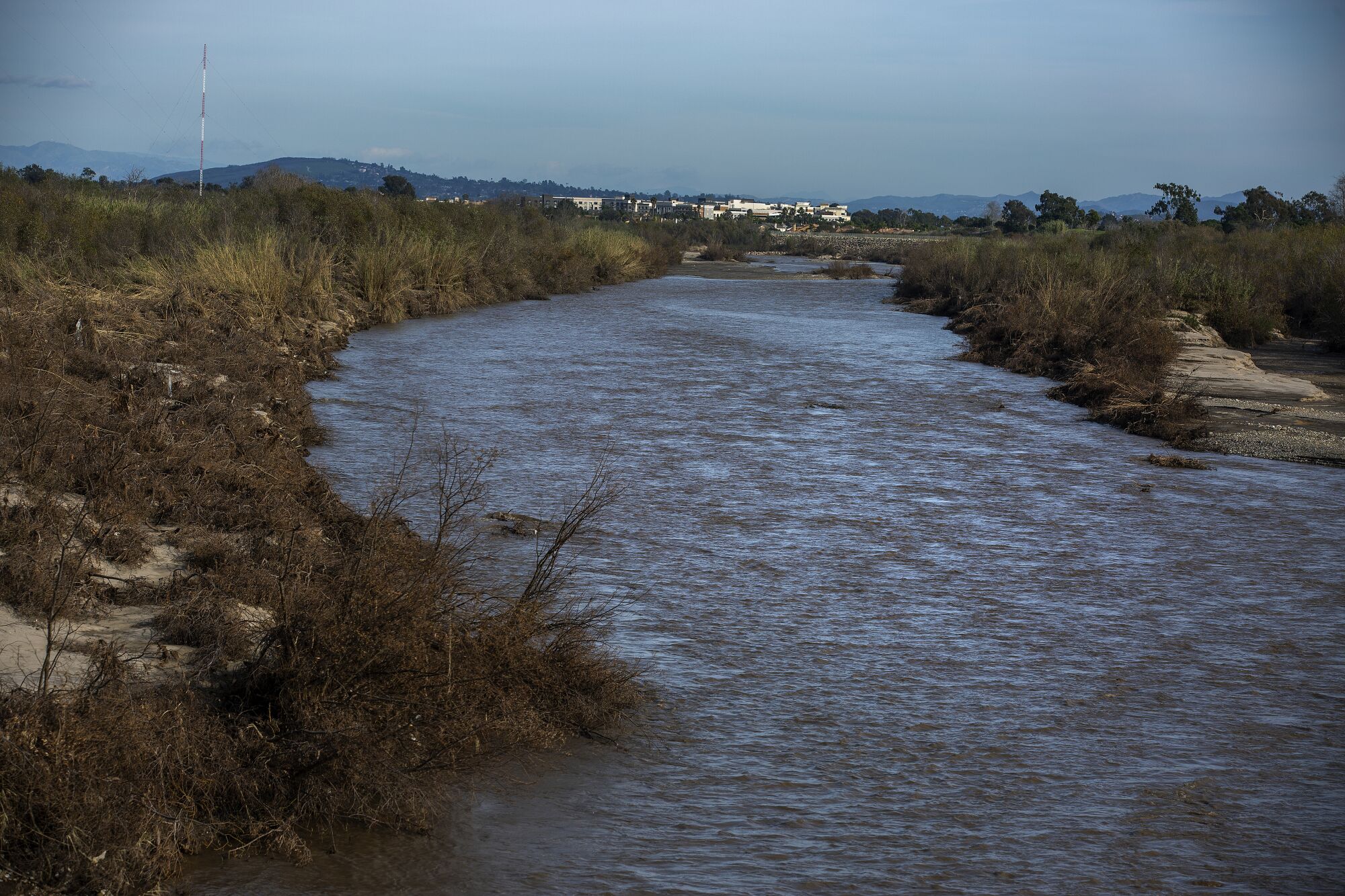 A river flows between two brush-covered banks.