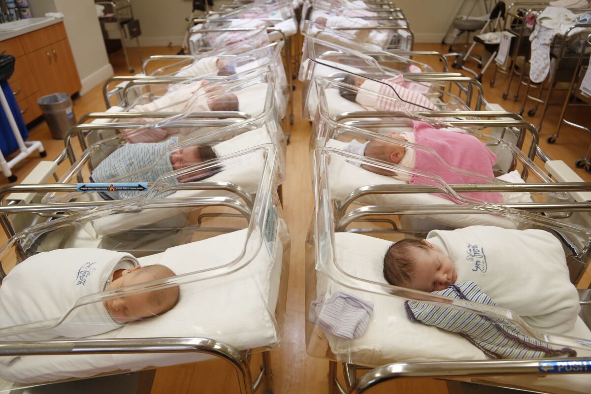 FILE - In this Feb. 16, 2017, file photo newborns rest in the nursery of Aishes Chayil, a postpartum recovery center, in Kiryas Joel, N.Y. Some parents are discovering that the Social Security number assigned to their newborn is being used by criminals to commit fraud. Identity theft experts recommend that parents freeze their children’s credit now to help prevent problems in the future. (AP Photo/Seth Wenig, File)