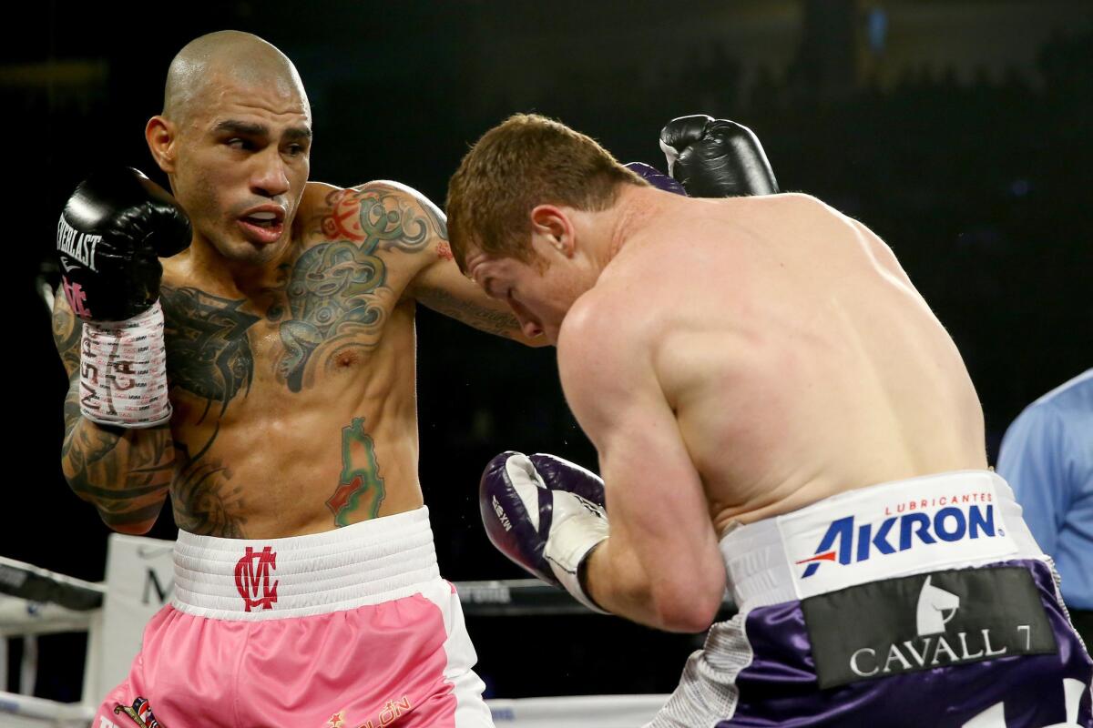 Miguel Cotto works on the inside against Canelo Alvarez during their WBC middleweight fight on Nov. 21, 2015 in Las Vegas.