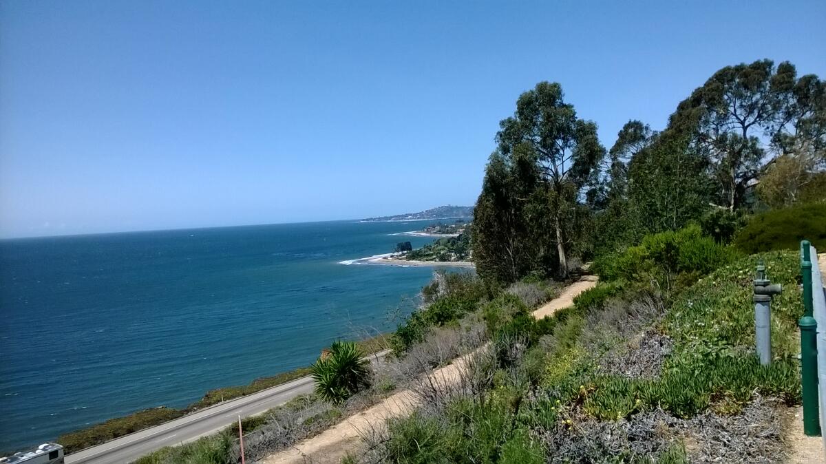 A view of the Santa Barbara County coast on a sunny day, showing trees, the ocean and a strip  of road.