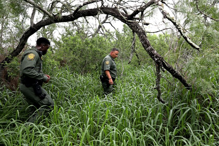 ENCINO, TEXAS - JUNE 03: U.S. Border Patrol agents Ebenezar Oyenola, left, and Jaime Cavazos, Rio Grande Valley Sector, look for the remains of a deceased male migrant, Alfonso Nieto Valladares, 25, of Honduras, on a ranch in Brooks County on Thursday, June 3, 2021 in Encino, Texas. Increased numbers of adult migrants crossing the border illegally, avoiding U.S. Border Patrol by walking around check points and dying in the brush. (Gary Coronado / Los Angeles Times)
