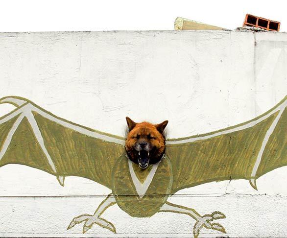 A dog barks though a hole in the wall of a hardware store decorated with a bat painting in Bogota, Colombia.