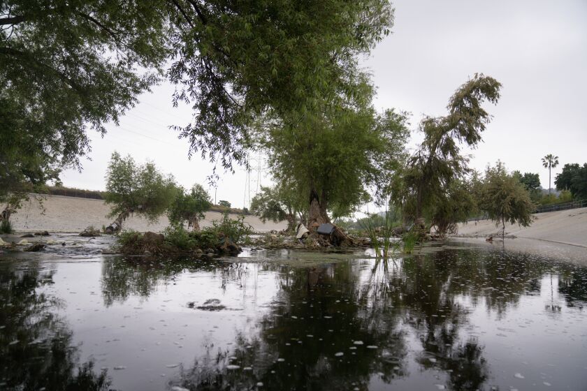 He helped protect the L.A. River. Now he wants to see it transformed