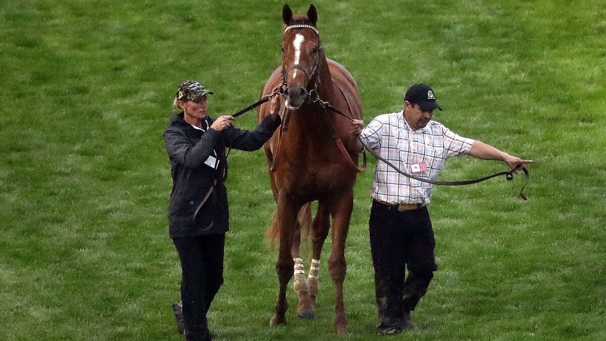 Country House is walked after the Kentucky Derby on May 4 at Churchill Downs. Trainer Bill Mott said Tuesday the horse would not run in the Preakness Stakes.